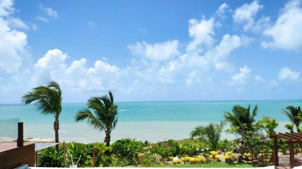 Tropical Caribbean beach view with palm trees, clear blue sky, and turquoise ocean under bright sunlight.